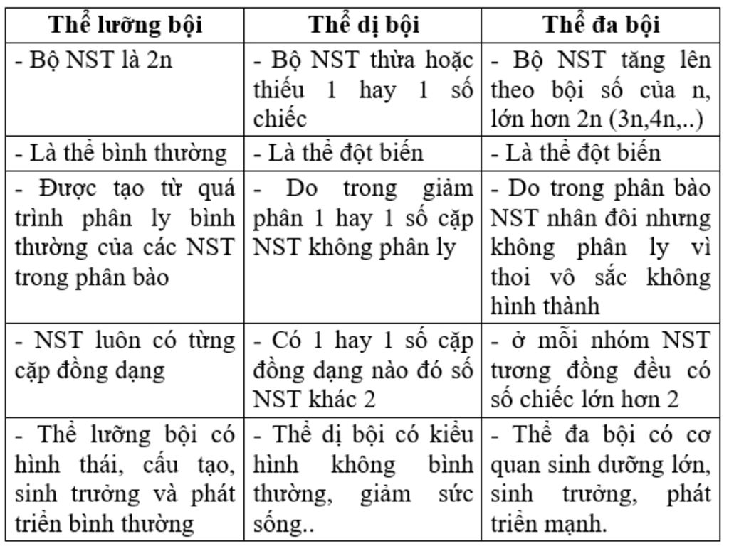 so-sanh-nhung-diem-khac-nhau-giua-the-luong-boi-va-the-da-boi-giai-giup-mik-vs-a