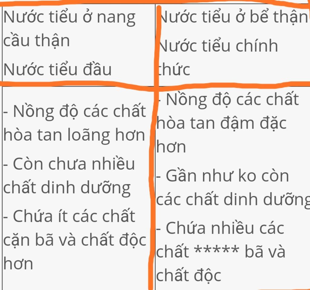 so-sanh-nuoc-tieu-o-be-than-va-nuoc-tieu-o-nang-cau-than-thuc-chat-cua-qua-trinh-tao-thanh-nuoc