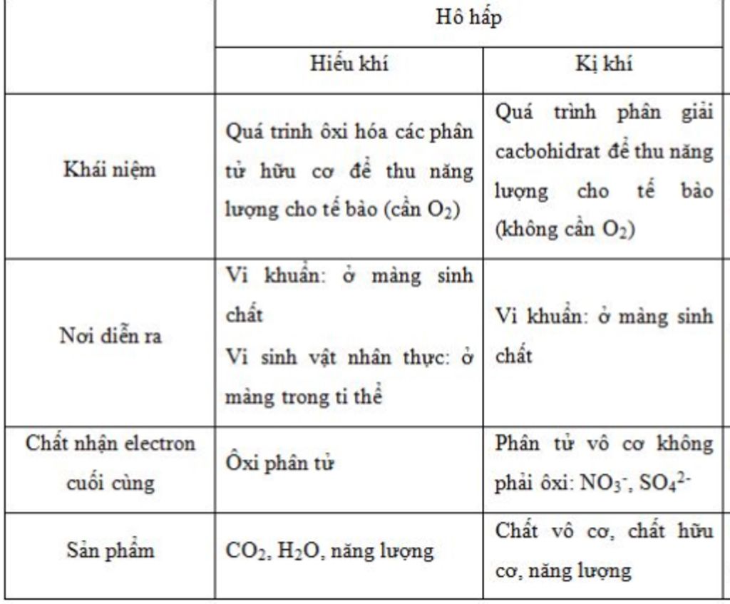 so-sanh-phan-giai-ki-khi-va-phan-giai-hieu-khi-lap-bang-dieu-kien-nguyen-lieu-co-che-san-pham-at