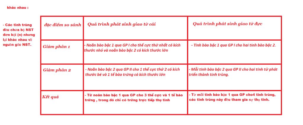 so-sanh-qua-trinh-phat-sinh-giao-tu-duc-va-cai