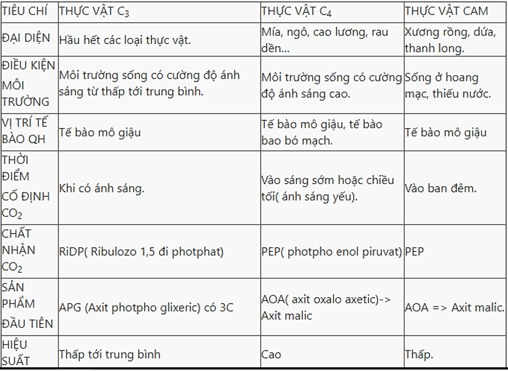 so-sanh-qua-trinh-quang-hop-o-cac-nhom-thuc-vat-c3-c4-va-cam