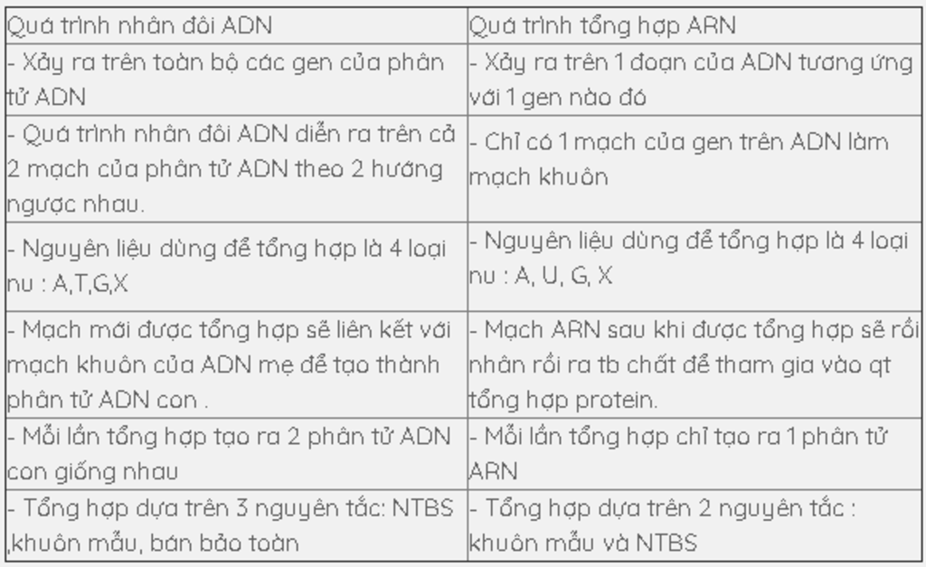 so-sanh-qua-trinh-tong-hop-arn-voi-qua-trinh-tu-nhan-doi-cua-adn