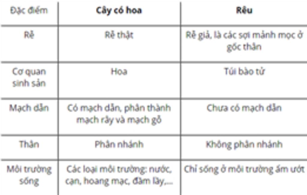 so-sanh-reu-voi-cay-co-hoa-so-sanh-duong-i-voi-hat-tran-vai-tro-cua-tao