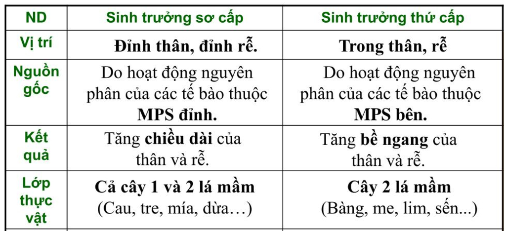 so-sanh-sinh-truong-so-cap-va-sinh-truong-thu-cap-theo-vi-tri-nguyen-nhan-ket-qua-loai-thuc-vat