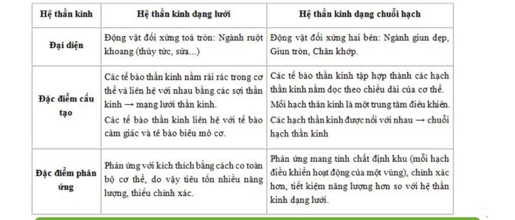 so-sanh-su-cam-ung-o-nhom-dong-vat-co-he-than-kinh-khac-nhau-ke-bang