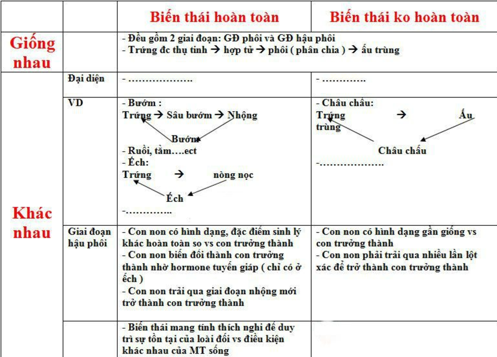 so-sanh-su-giong-nhau-va-khac-nhau-bien-thai-hoan-toan-va-bien-thai-ko-hoan-toan