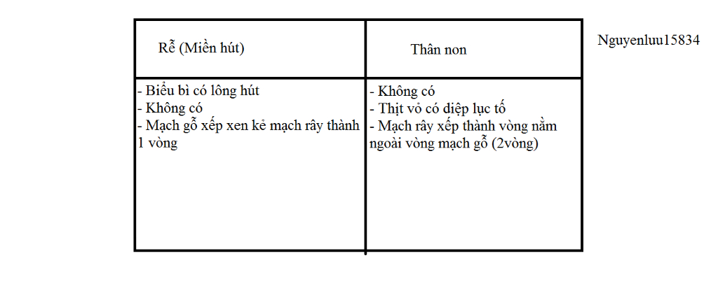 so-sanh-su-giong-nhau-va-khac-nhau-giua-re-cau-tao-mien-hut-voi-than-non-cau-tao-trong-cua-than