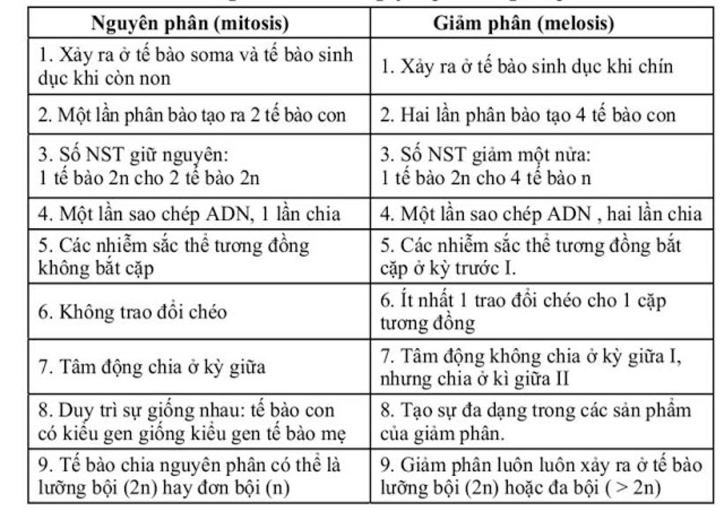 so-sanh-su-giong-va-khac-nhau-cua-qua-trinh-nguyen-phan-va-giam-phan