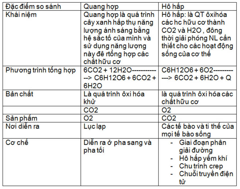 so-sanh-su-khac-nhau-va-giong-nhau-giua-qua-trinh-ho-hap-va-quang-hop