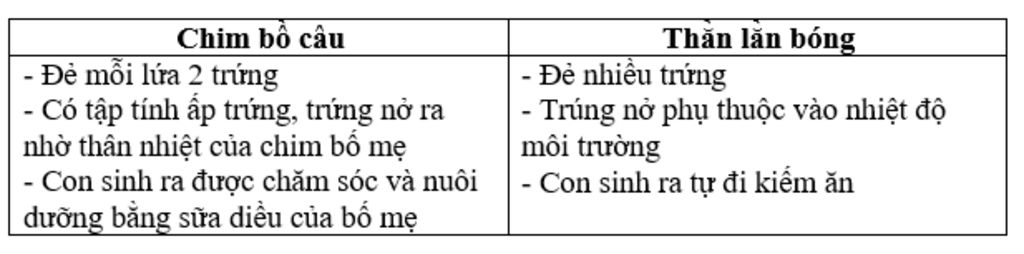 so-sanh-su-khac-nhau-ve-dac-diem-sinh-san-cua-chim-bo-cau-lop-chim-va-than-lan-bong-lop-bo-sat-t