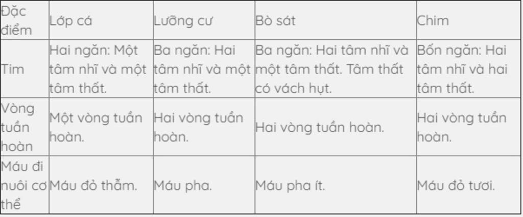 so-sanh-su-tien-hoa-tu-cac-dong-vat-thuoc-lop-ca-luong-cu-bo-sat-chim-thu
