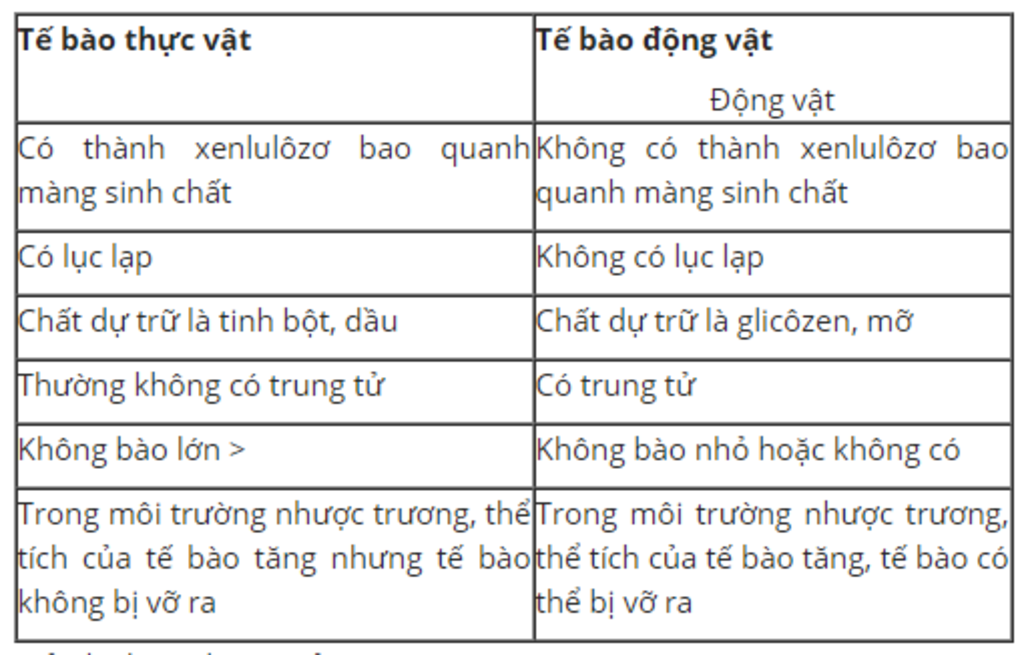 so-sanh-te-bao-thuc-vat-va-te-bao-dong-vat