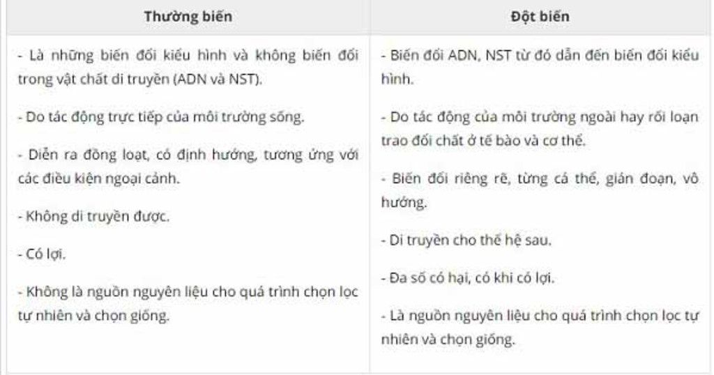 so-sanh-the-da-boi-va-the-luong-boi-co-minh-bao-6-y-va-dot-bien-thuong-bien