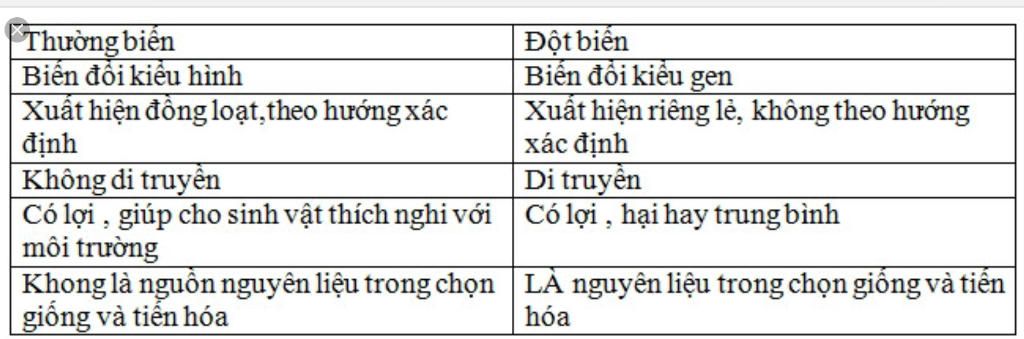 so-sanh-thuong-bien-va-dot-bien-khai-niem-cai-nao-di-truyen-chiu-anh-huong-nhieu-den-moi-truong