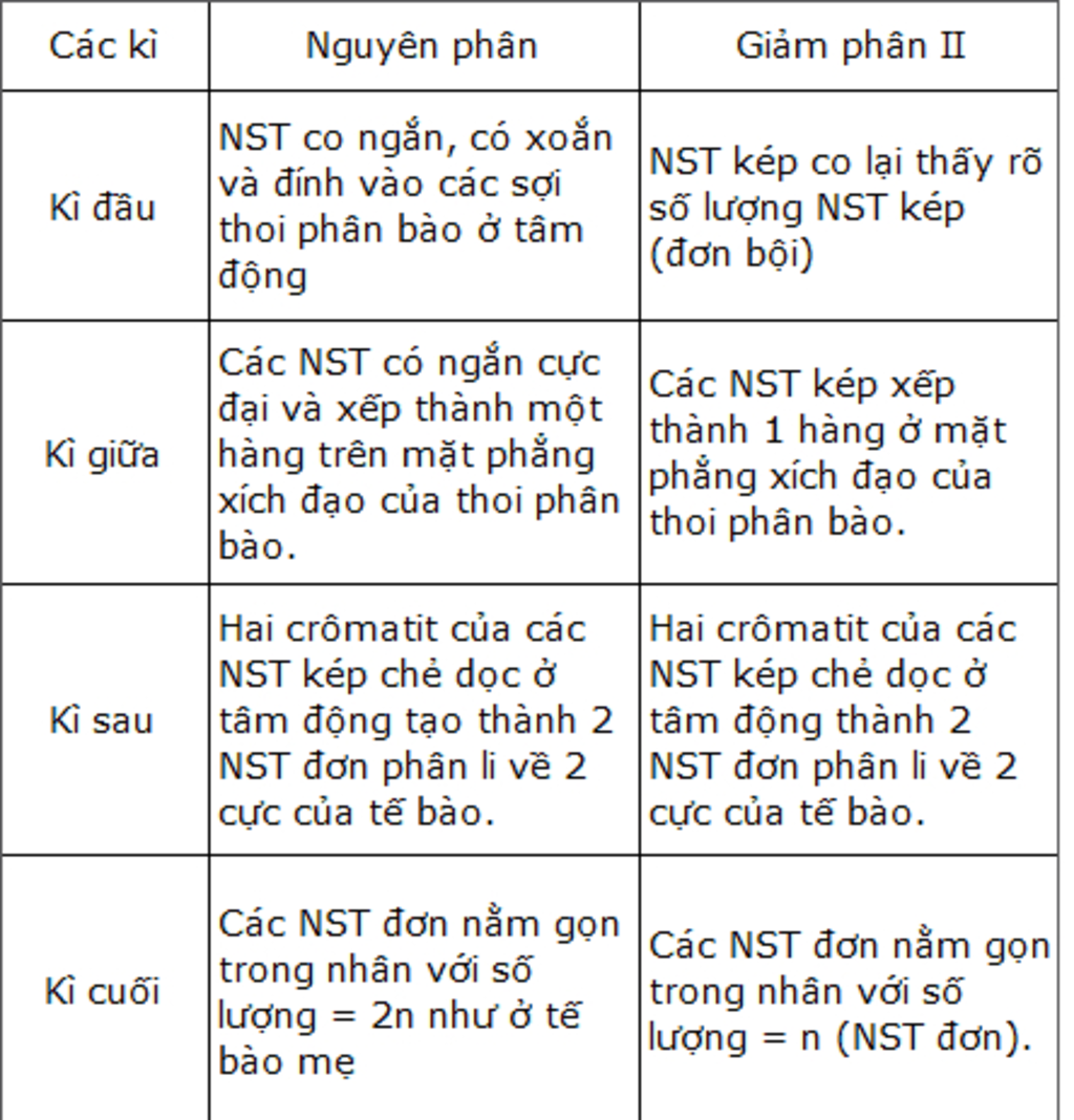 so-sanh-trang-thai-nst-trong-ki-nguyen-phan-va-trong-ki-giam-phan-2