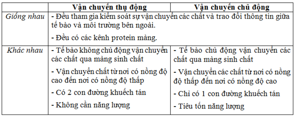 so-sanh-van-chuyen-thu-dong-va-chu-dong-tai-sao-muon-giu-rau-tuoi-ta-phai-thuong-uyen-vay-nuoc-v