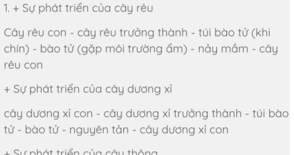 so-sanh-vong-doi-cua-reu-va-duong-i-ve-so-do-nua-nha