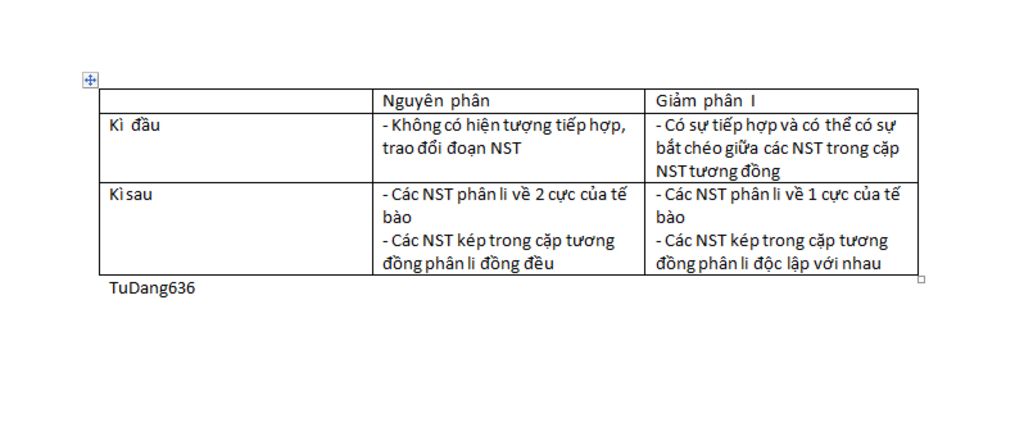 su-khac-nhau-cua-nst-o-ki-dau-va-ki-sau-cua-qua-trinh-nguyen-phan-va-giam-phan-1