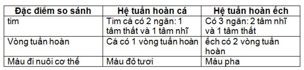 su-khac-nhau-giua-he-tuan-hoan-cua-ca-va-ech