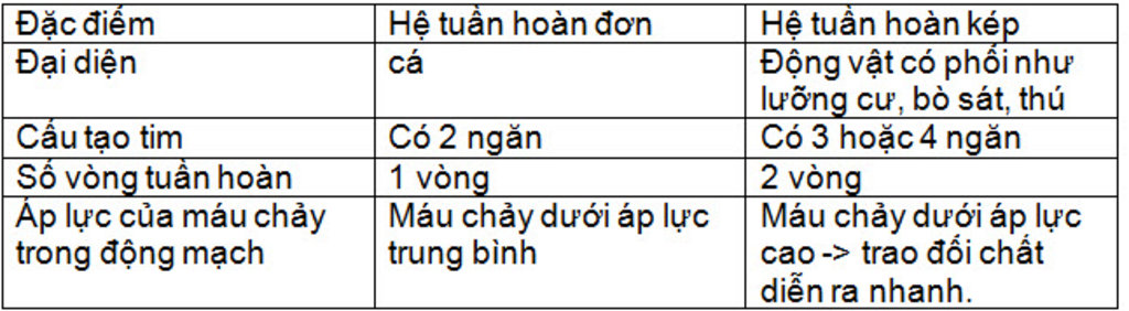 su-khac-nhau-giua-he-tuan-hoan-cua-chau-chau-va-giun-giua-tom-va-ca