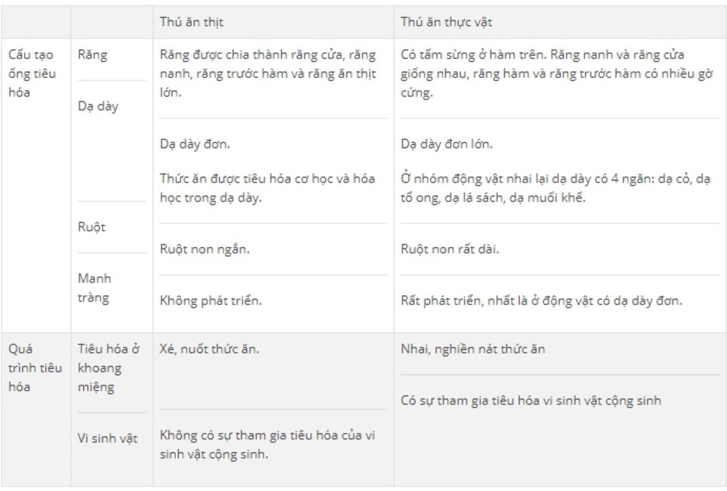 su-khac-nhau-ve-ong-tieu-hoa-va-qua-trinh-tieu-hoa-o-dv-an-thit-va-dv-an-co