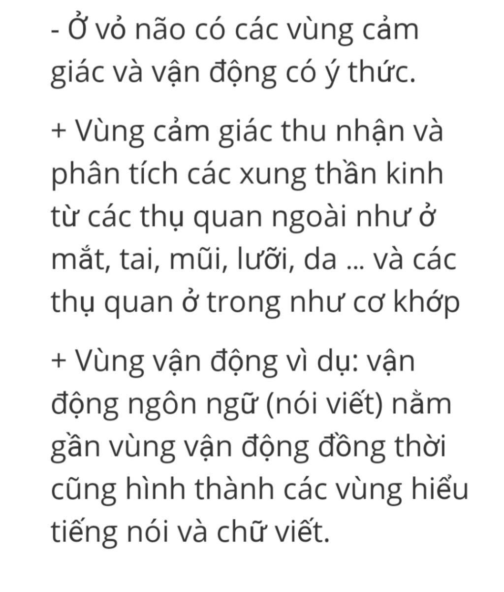 su-phan-vung-chuc-nang-cua-dai-nao-co-vai-tro-gi