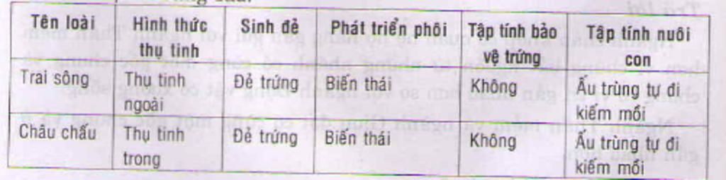 su-tien-hoa-cua-hinh-thuc-sinh-san-huu-tinh-lay-vi-du-giai-thich