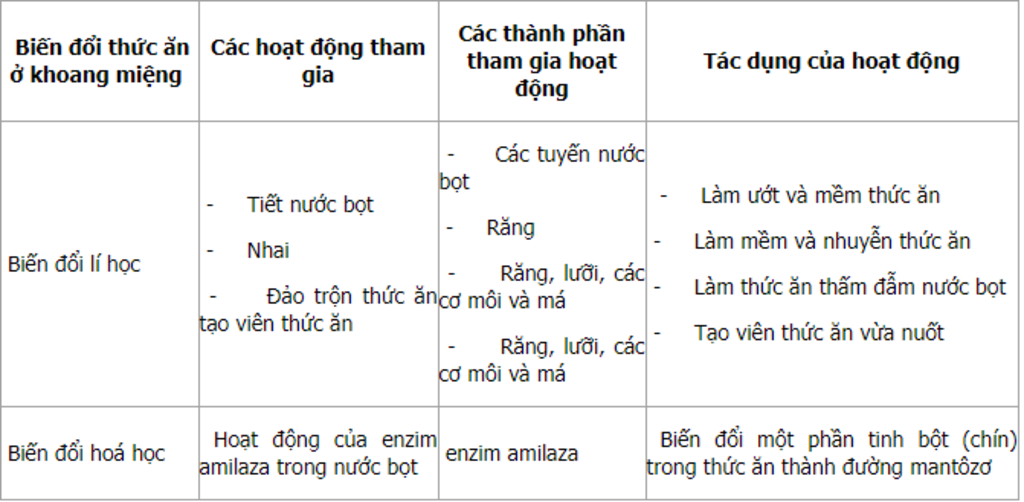 su-tieu-hoa-thuc-an-se-dien-ra-nhu-the-nao-o-khoang-mieng-va-da-day