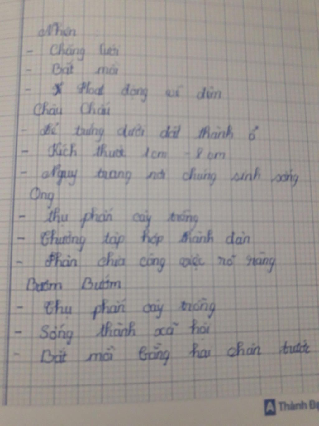 suu-tam-va-mo-ta-mot-vai-tap-tinh-cua-sau-bo-3-5-tap-tinh-giup-vs-a