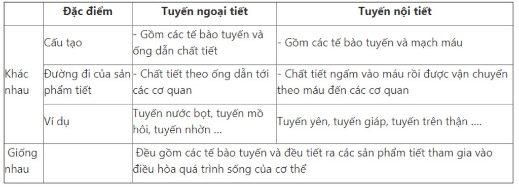 t-c-vai-tro-cua-hoocmon-vs-noi-tiet-phan-biet-tuyen-noi-tiet-va-ngoai-tiet