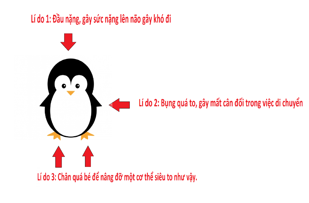 tai-sao-chim-canh-cut-lai-co-dang-di-vung-ve-ngat-nguong
