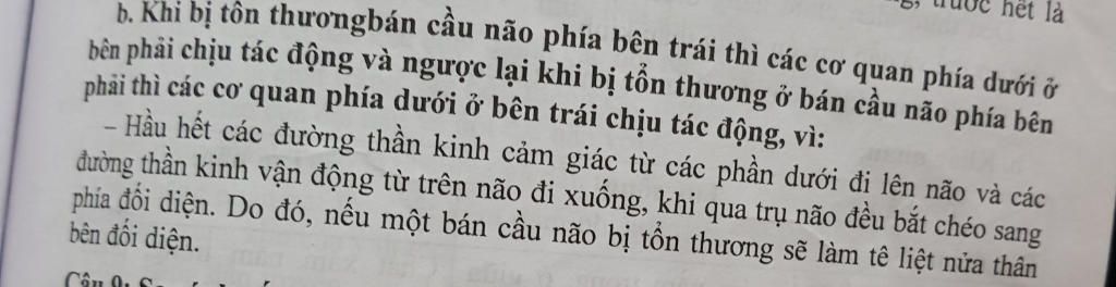 tai-sao-khi-bi-ton-thuong-nao-ben-phai-thi-lai-bi-liet-nua-nguoi-ben-trai-va-nguoc-lai