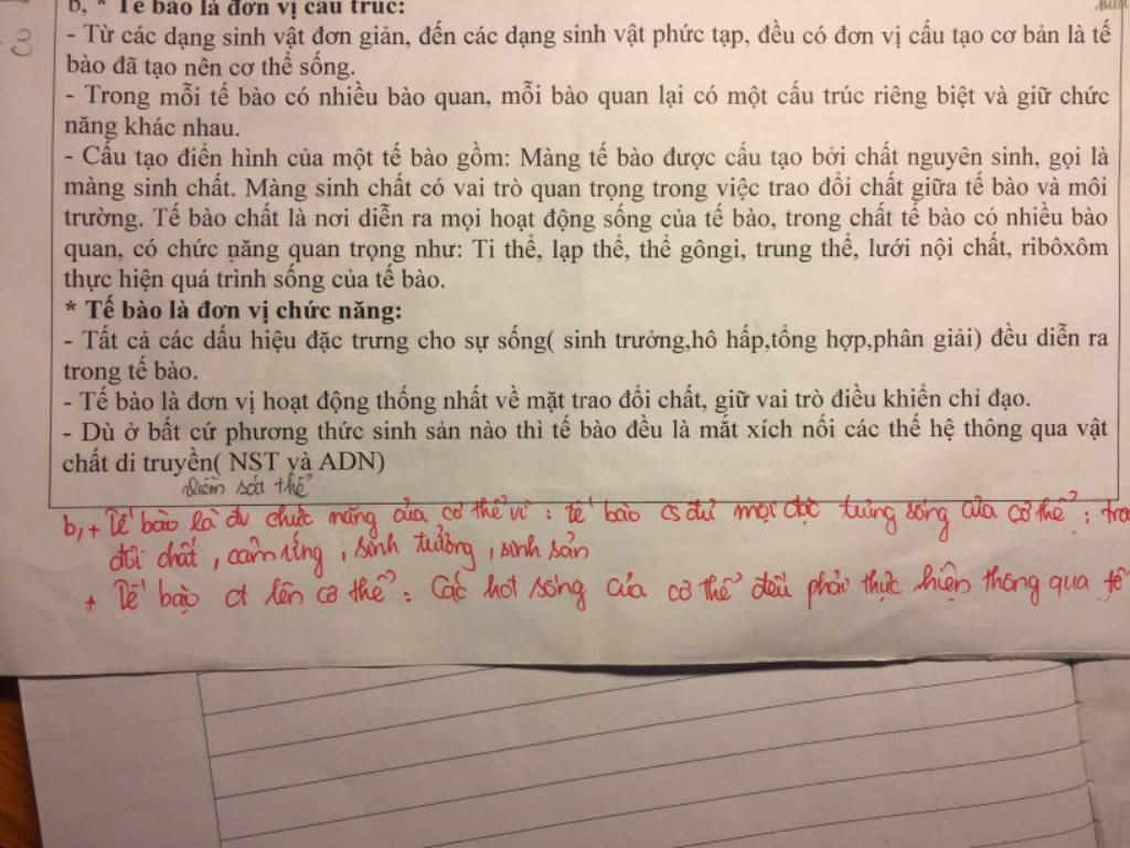 tai-sao-nhiu-te-bao-la-don-vi-cau-tao-cua-co-the