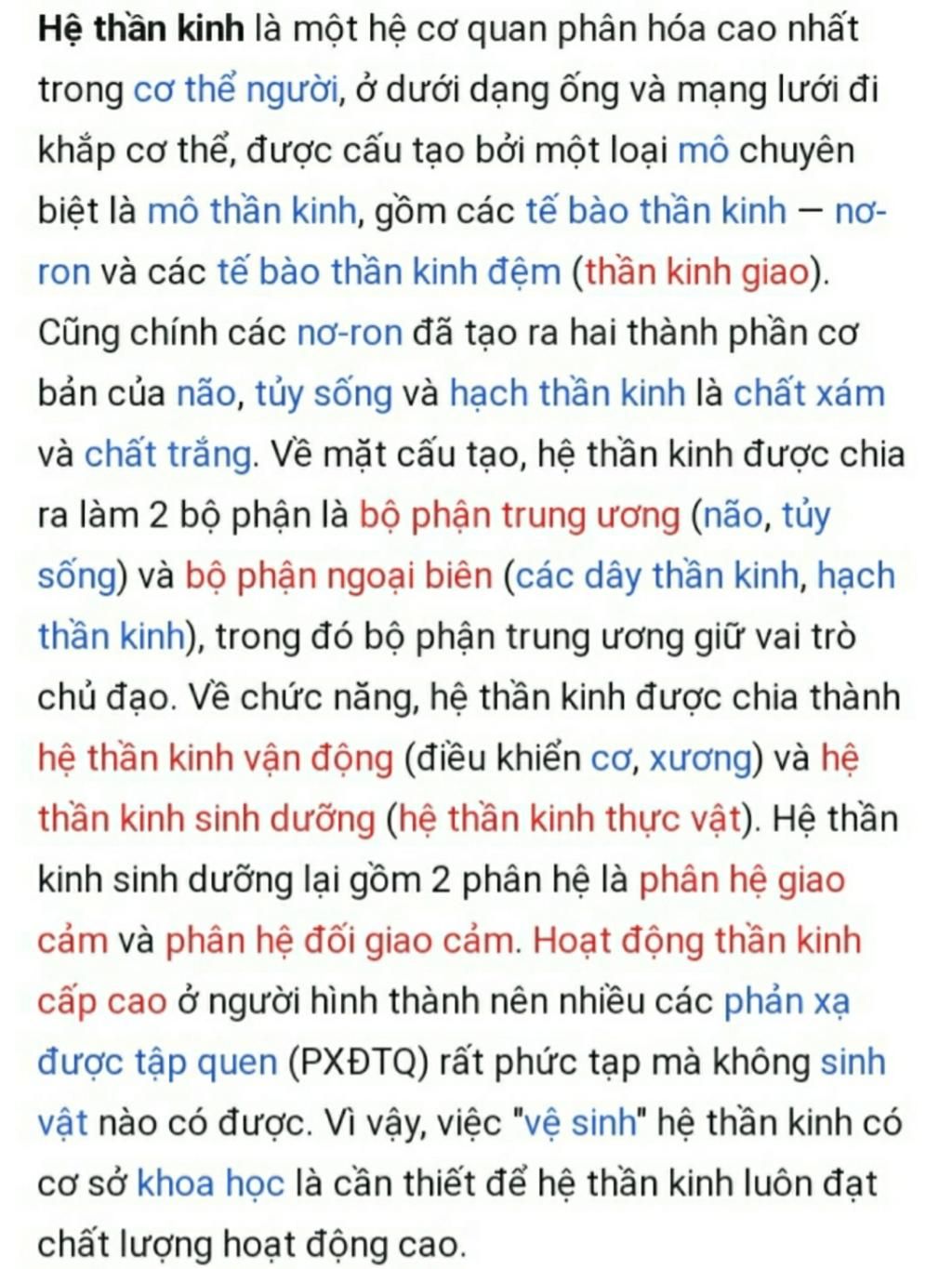 tai-sao-noi-hd-than-kinh-cua-nguoi-la-hd-than-kinh-cap-cao