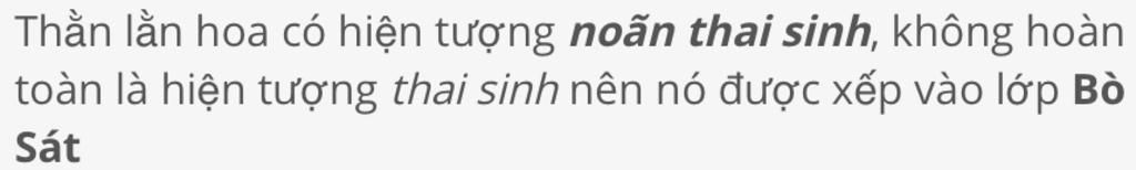 tai-sao-than-lan-bong-hoa-la-dong-vat-de-con-sao-lai-duoc-ep-vao-lop-bo-sat