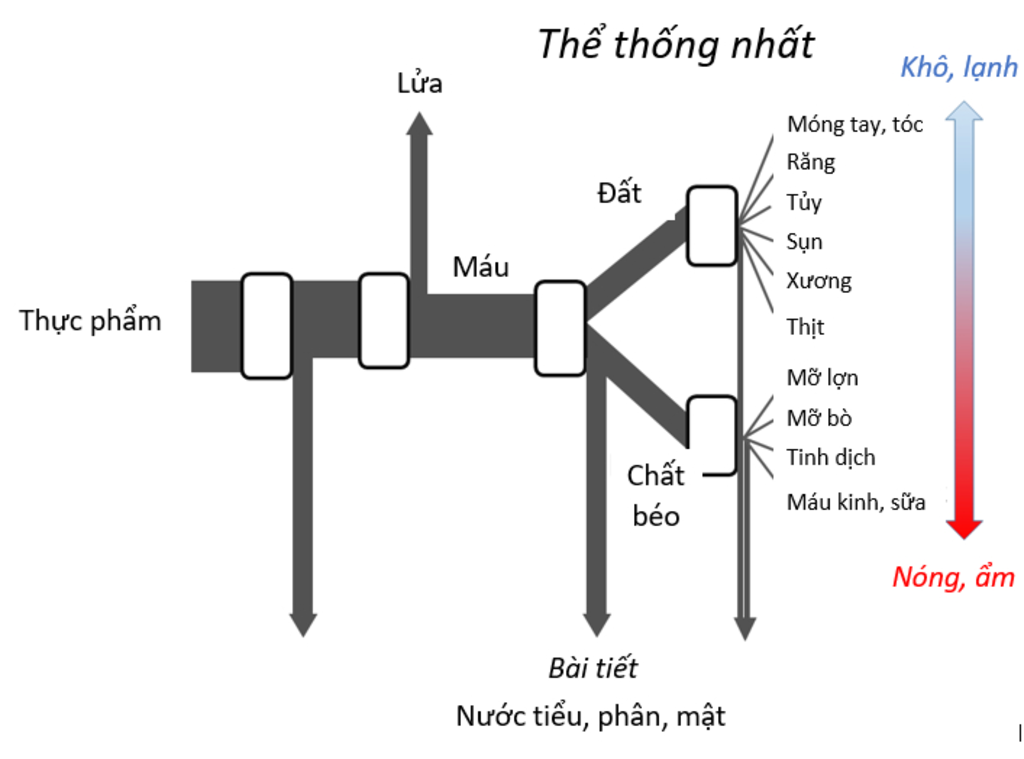 tai-sao-trong-trao-doi-chat-lai-khong-co-su-bien-doi-chat-ma-trong-chuyen-hoa-chat-moi-co-su-bie