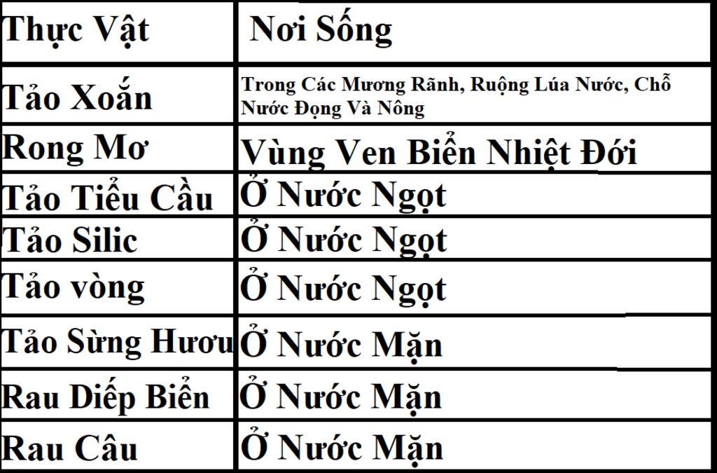 tao-oan-noi-song-khu-vuc-phan-bo-rong-mo-tao-tieu-cau-tao-silic-tao-vong-tao-sung-huou-rau-diep