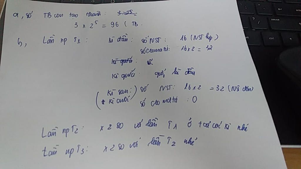 te-bao-oma-3-te-bao-nguyen-phan-lien-tiep-5-lan-2n-16-hay-ac-dinh-a-so-te-bao-con-tao-thanh-b-so