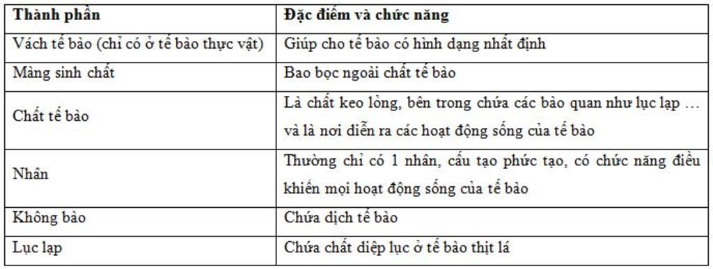 te-bao-thuc-vat-gom-nhung-thanh-phan-chu-yeu-nao-chuc-nang-cua-moi-thanh-phan-la-gi-viet-so-do-q