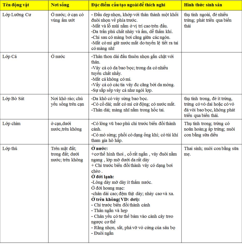 ten-dv-noi-song-dac-diem-cau-tao-hinh-thuc-sinh-san-ngoai-de-thich-nghi-lop-luong-cu-lop-ca-lop