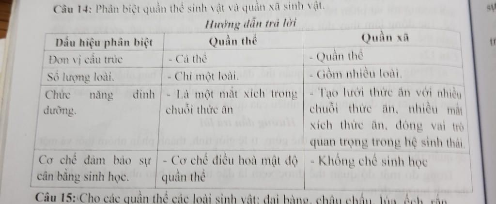 tet-so-sanh-su-khac-nhau-giua-sinh-vat-hang-nhiet-va-sih-vat-bien-nhiet-tet-the-nao-la-he-sinh-t