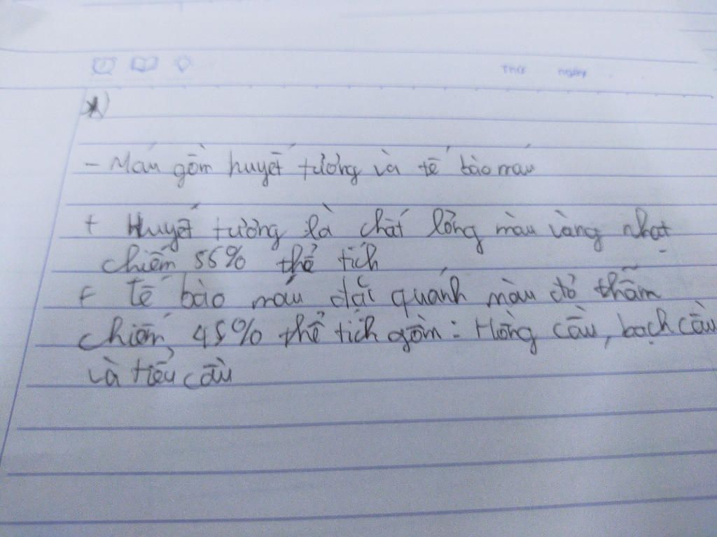 thanh-phan-cau-tao-cua-mau-vai-tro-cua-tung-phan
