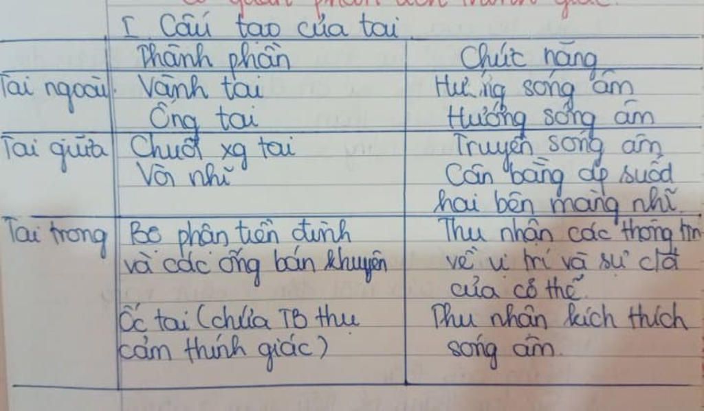 thanh-phan-cau-tao-cua-tai-neu-chuc-nang-cua-cac-thanh-phan-do