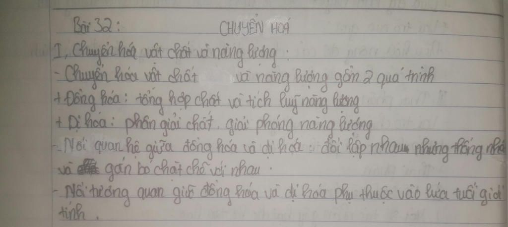 the-nao-la-dong-hoa-di-hoa-neu-moi-quan-he-giua-dong-hoa-va-di-hoa-mn-giup-tui-vs-tui-hua-vote-5