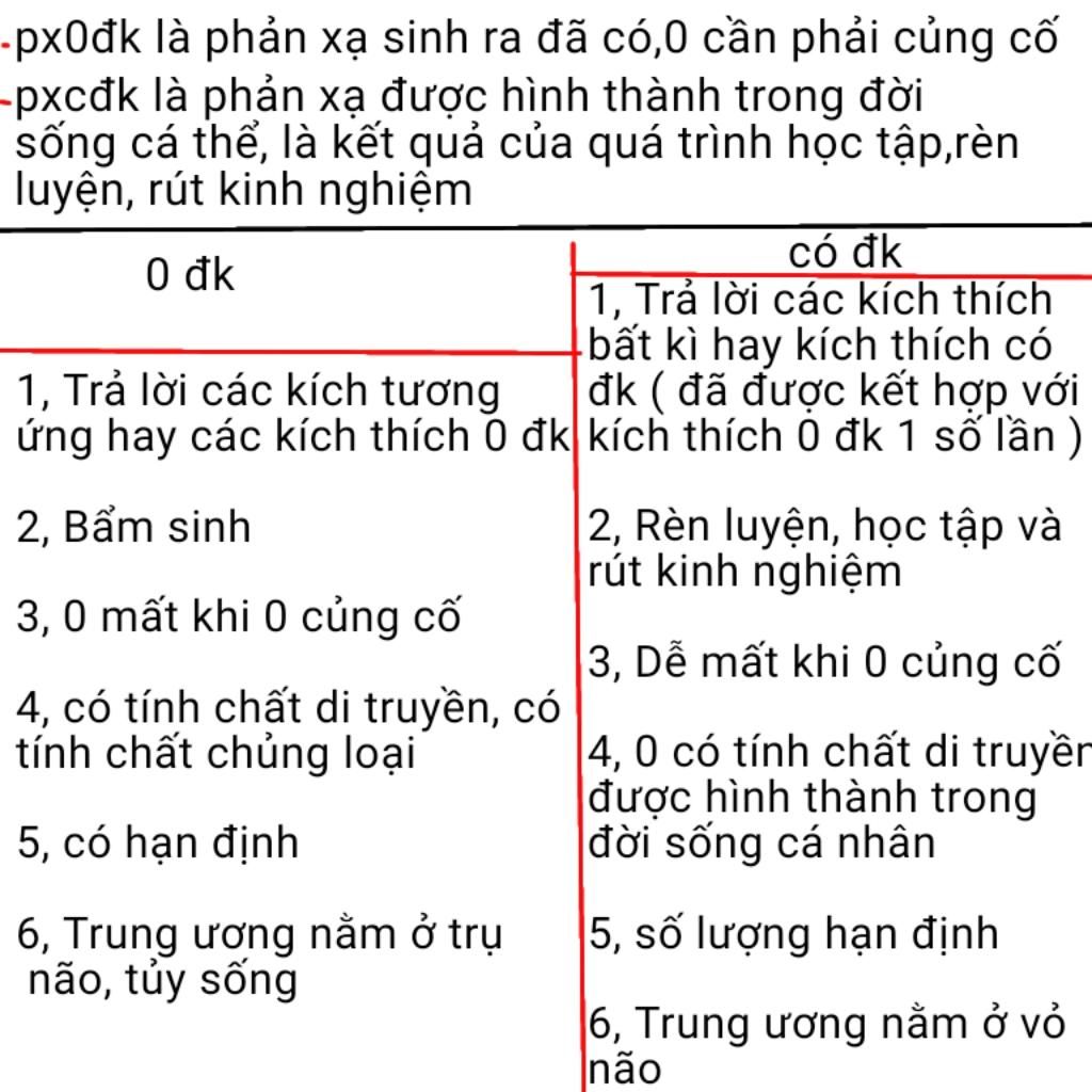 the-nao-la-pc-dk-va-pkc-dk-so-sanh-tinh-chat-cua-2-phan-a-neu-y-nghia-cua-giac-ngu-voi-suc-khoe