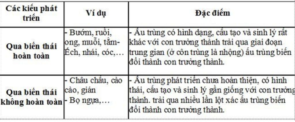 the-nao-la-phat-trien-qua-bien-thai-va-phat-trien-ko-qua-bien-thai-lay-vi-du