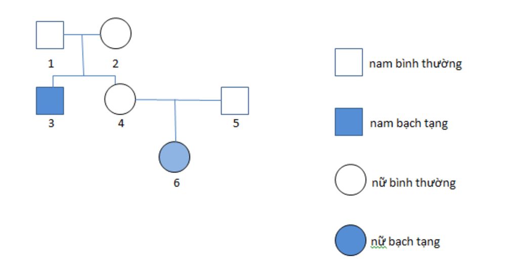 theo-doi-su-di-truyen-cua-benh-bach-tang-trong-mot-gia-dinh-duoc-mo-ta-nhu-sau-me-1-va-bo-2-deu
