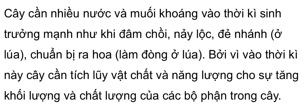 theo-em-nhung-giai-doan-nao-cua-cay-can-nhieu-nuoc-va-muoi-khoang