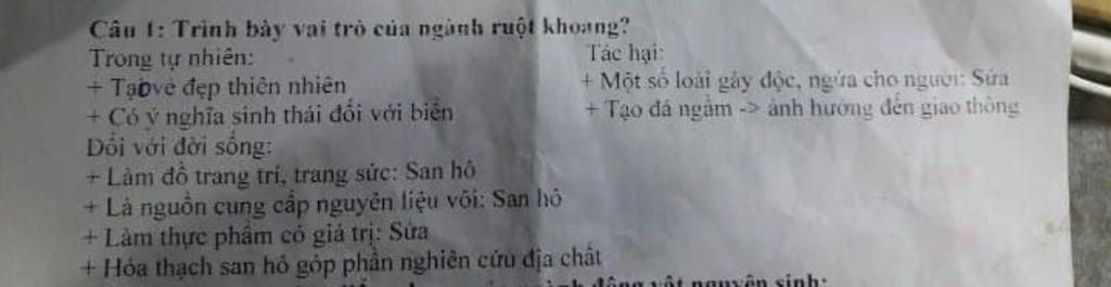 theo-em-ruot-khoang-co-vai-tro-gi-doi-voi-tu-nhien-a-hoi-va-con-nguoi-cho-vi-du