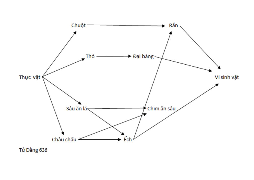 thuc-vat-chuot-chau-chau-sau-an-la-tho-ran-ech-chim-an-sau-dai-bang-vi-sinh-vat-hay-ve-luoi-thuc